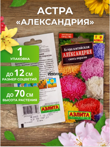 Набор семян цветов "Астра №2" фото 3 Набор семян цветов "Астра №2" фото 3