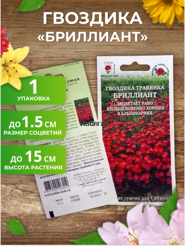 Набор семян цветов "Гвоздика №2" фото 3 Набор семян цветов "Гвоздика №2" фото 3