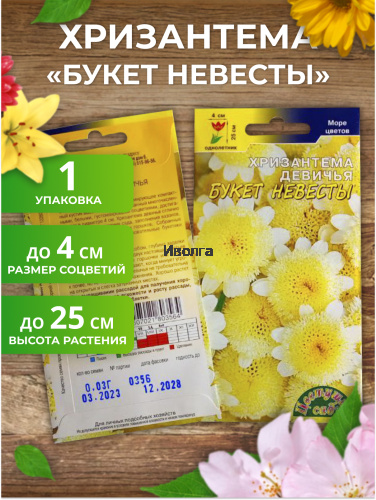 Набор семян цветов "Хризантема №2" фото 3 Набор семян цветов "Хризантема №2" фото 3