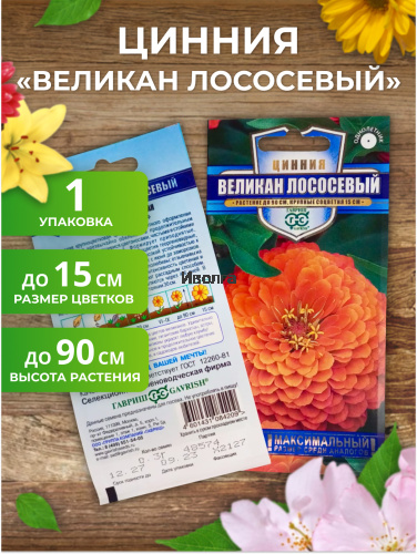 Набор семян цветов циннии "Великан" фото 4 Набор семян цветов циннии "Великан" фото 4