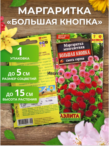 Набор семян цветов "Маргаритка №1" фото 3 Набор семян цветов "Маргаритка №1" фото 3